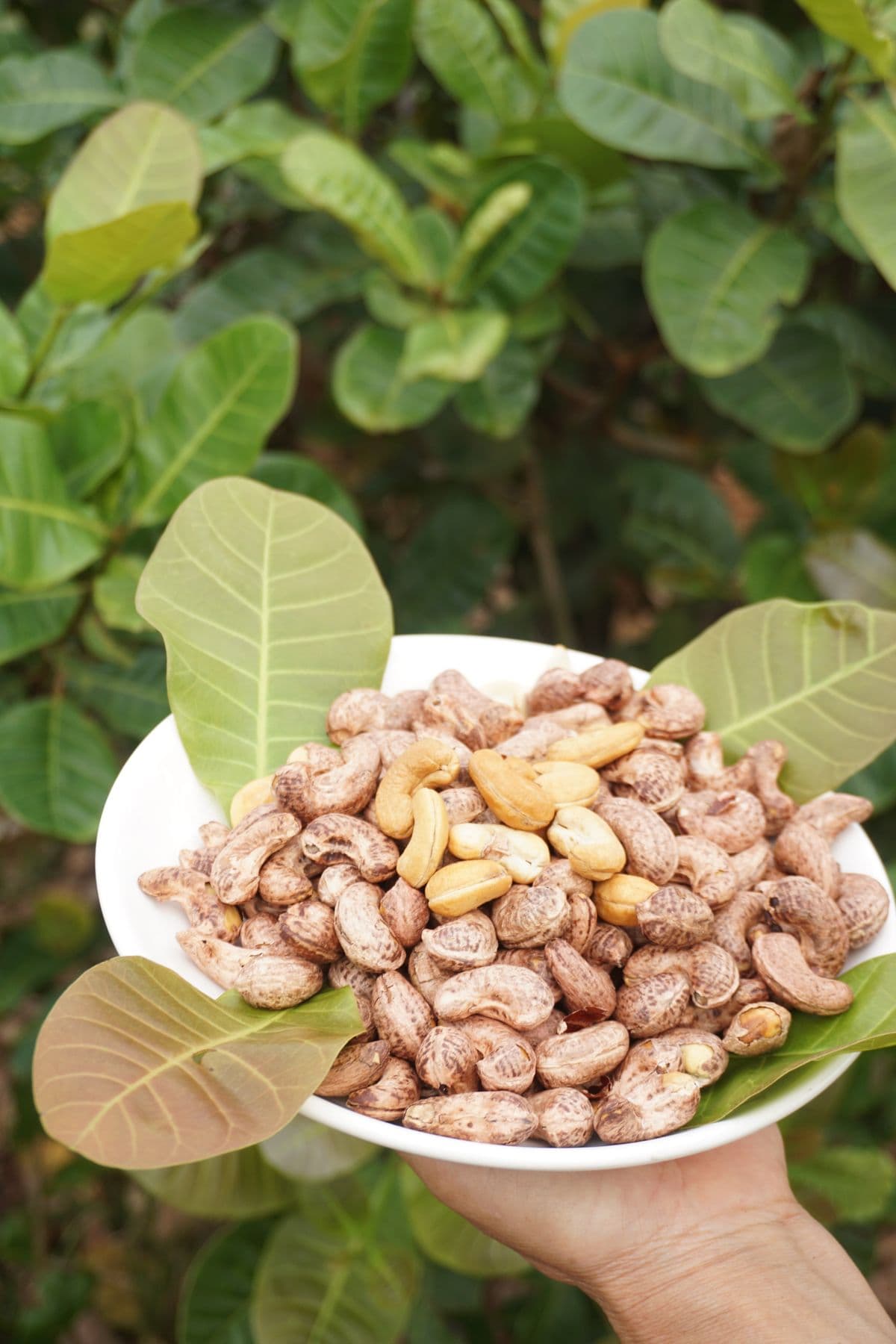 Ảnh thùng flexi 20 kg